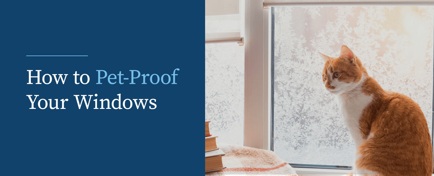 How to Pet-Proof Your Windows